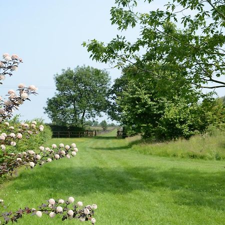 Wassicks Cottage, Haughley Buitenkant foto